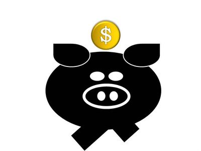 Ammon Idaho budget and taxes