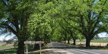 Tractor remapping in Baccus Marsh. Dpf Egr Adblue delete Off