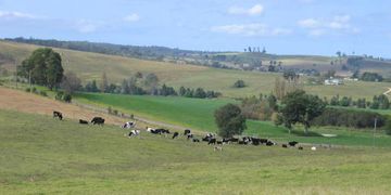 Tractor remapping in Bruthen. Dpf Egr Adblue delete Off