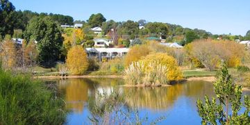 Tractor remapping in Daylesford. Dpf Egr Adblue delete Off