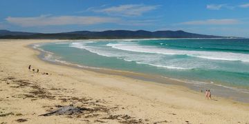 Tractor remapping in Mallacoota. Dpf Egr Adblue delete Off