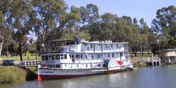 Tractor remapping in Mildura. Dpf Egr Adblue delete Off