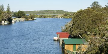 Tractor remapping in Nelson. Dpf Egr Adblue delete Off