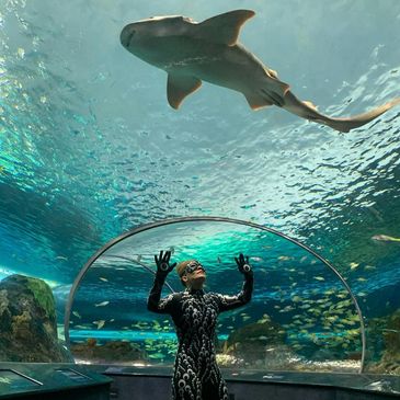 a statue Mime in Ripleyβs aquarium with a shark above in water aquarium tunnel