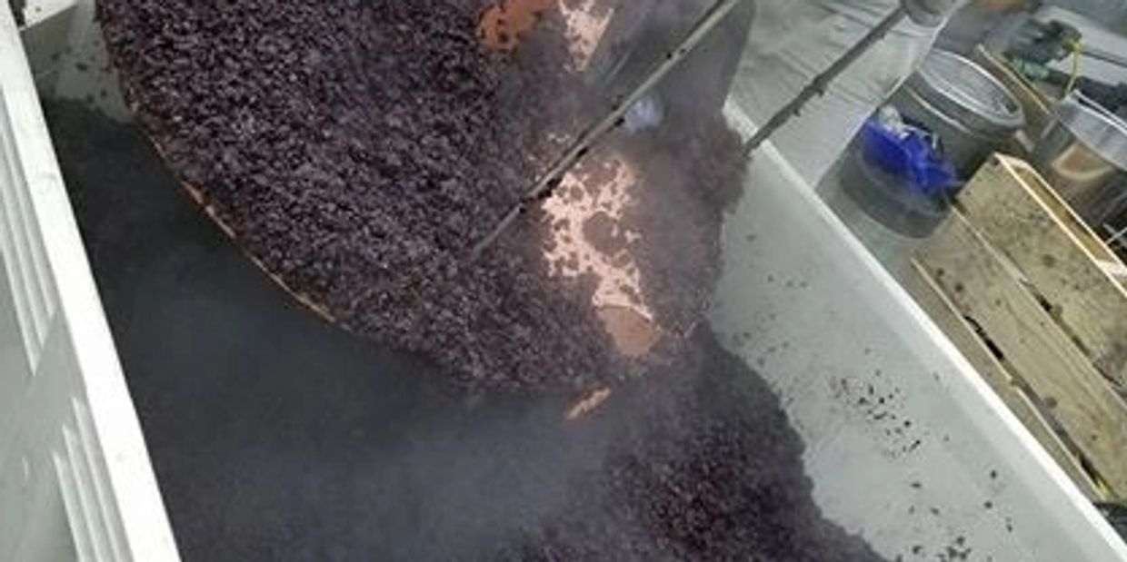 steaming macro bin of spent pomace after making grappa