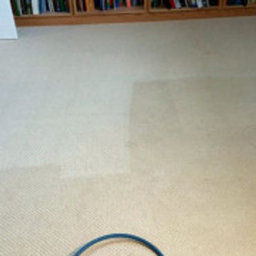 Carpet Cleaning Service in Alberta
Upholstery Cleaning Service in Alberta