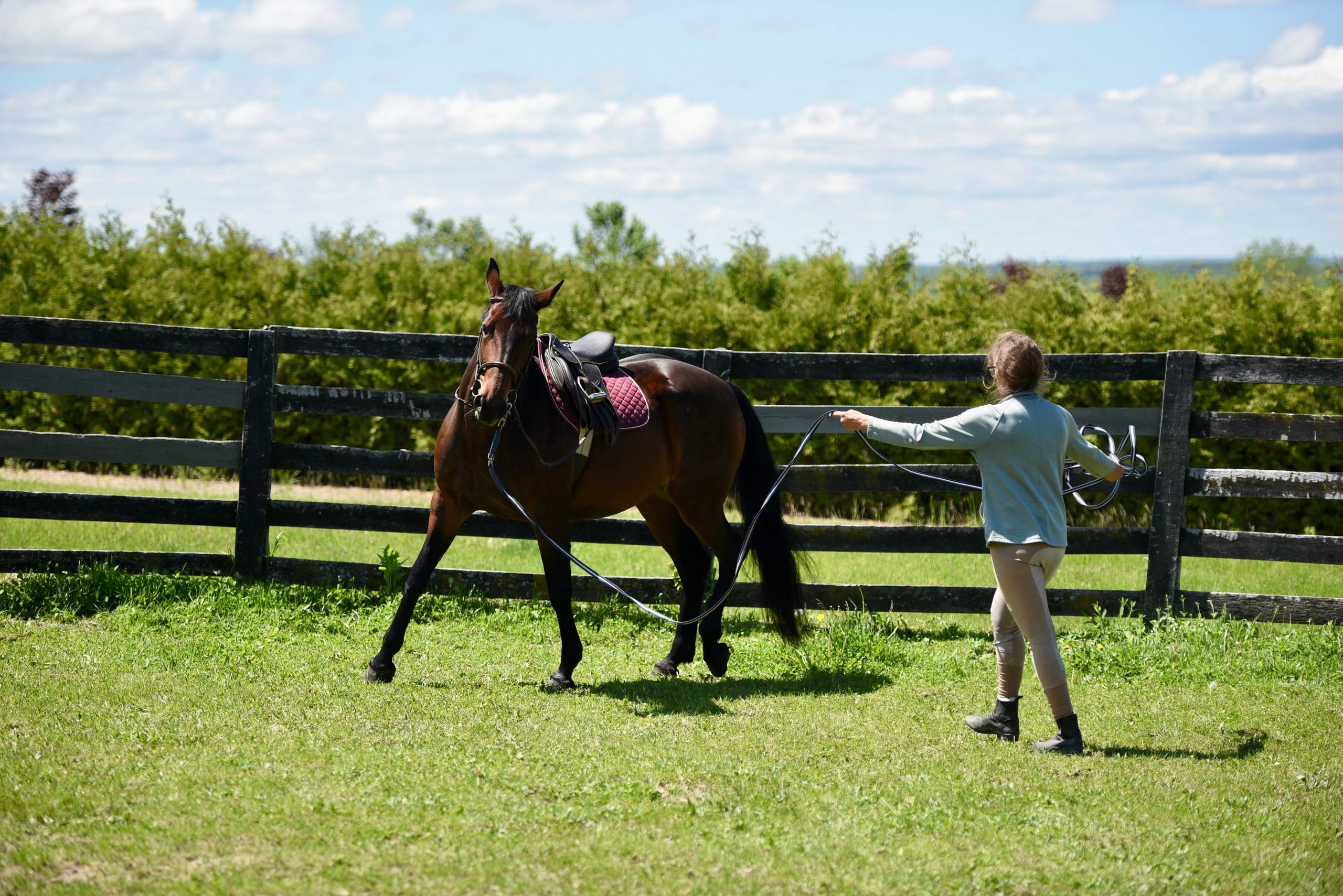 Person training a horse in an outdoor paddock.