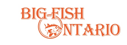 Big Fish Ontario