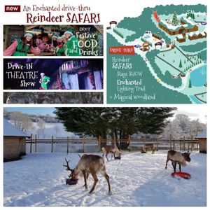 I loved doing the narration for Reindeer Lodge in Mold, Wales, for their amazing Drive Thru Christma