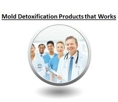 Products Mold Detoxification