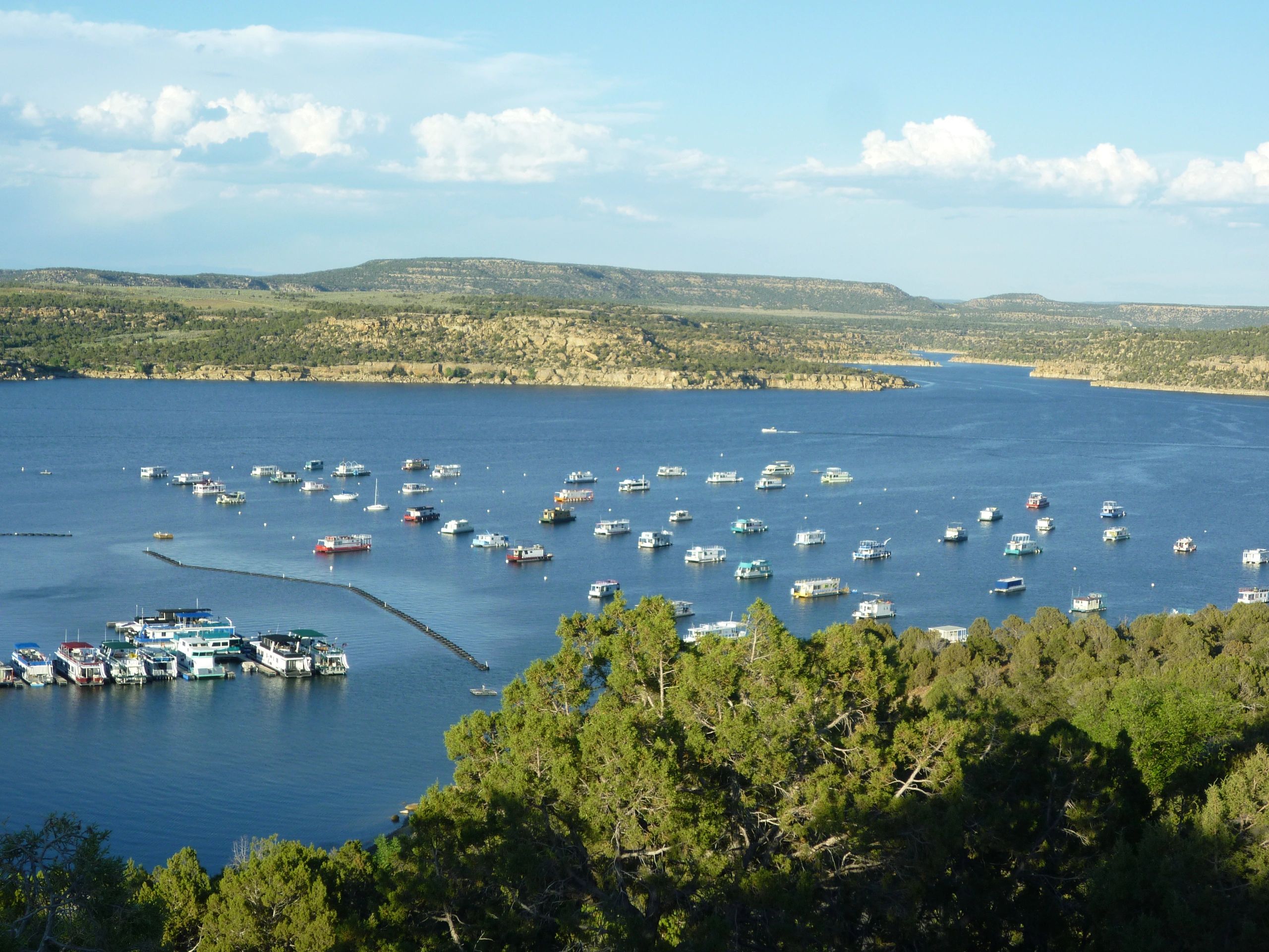  #Colorado 
Navajo reservoir
boat inspection. Survey
usaboatsurvey.com