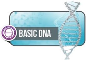 ThetaHealing Basic DNA with certified Instructor, Cheyenne Ryan, become a  ThetaHealing Practitioner