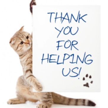 A cat holding a sign that says thank you for helping us.