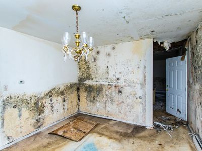 Fire And Water Damage 