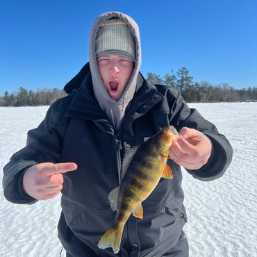 ice fishing for Yellow perch in maine