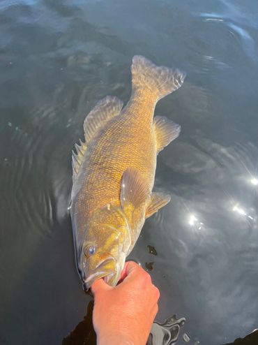 Moosehead Lake fishing in Greenville Maine
