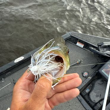 bass fishing Moosehead lake