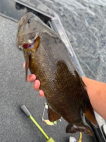 bass fishing Moosehead lake