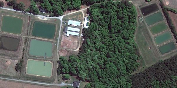 Aerial view of a fish farm with multiple ponds surrounded by forest.
