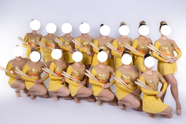 Inter / Senior /Master -  Gold Sunset Chiffon Skirt
Set of 16
Size Ladies 8 to Ladies 18.