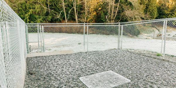 Outdoor run at R & R Kennels in Bellingham