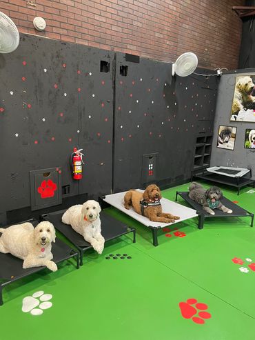 Group place and stay.