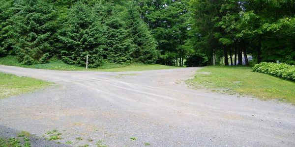 Picture shows large driveway parking lot with plenty of trees in background
