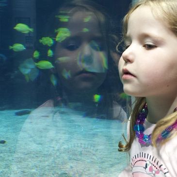 Young child looking at Fintastic Aquarium