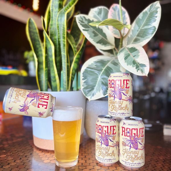 Rogue Honey Kolsch beer featured with live plants in the background