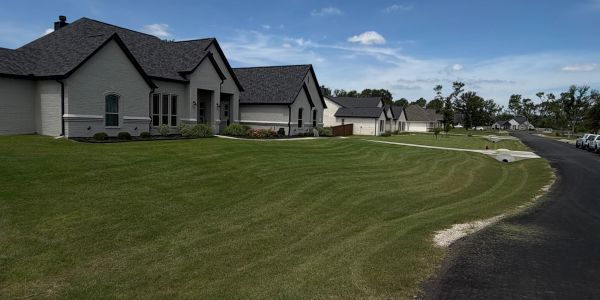 Suburban neighborhood with modern houses and well-maintained lawns under a clear sky.