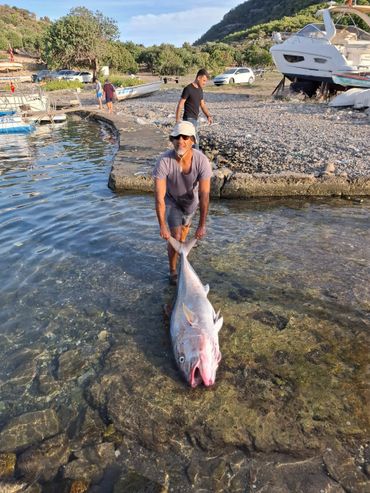 Tisan Balık Avı , Tisan Life Villa Otel, Tisan Adası Apart Otel , Tisan Kiralık , Tisan Konaklazma