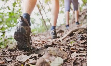 Tisan Yürüyüş rotaları,Tisan Life Villa Otel,Tisan Adası Apart Otel,Tisan Kiralık,Tisan Konaklama