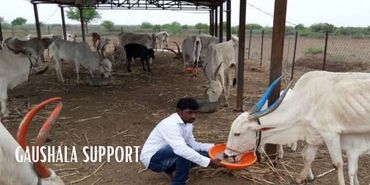 Gaushala Support