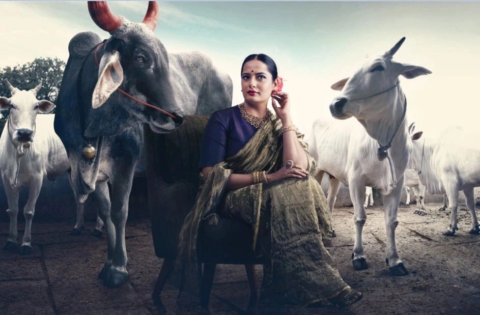 Shivali Miglani Author of Krishna The Environmental Superhero with cows and bulls