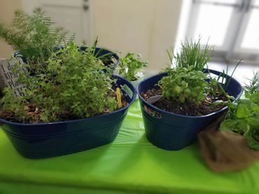 Cooking with Herbs was the program for friendship Event 2020. Pioneer Garden Club