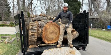 Man posing with large tree logs on a truck.
