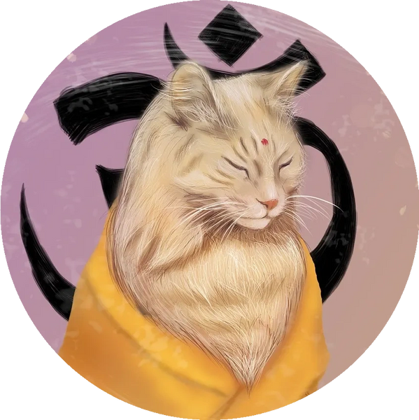 meditating cat
chat méditation