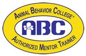 Heel 2 Heal Dog Training and Puppy Training West Palm Beach Florida