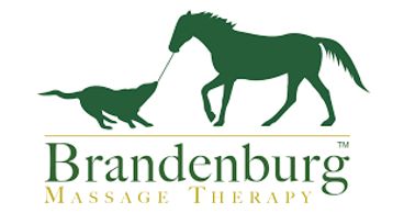 Dog Massage in West Palm Beach