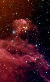 Young Stars Emerge from Orions Head
