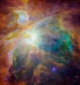 Baby stars in Orion nebula
