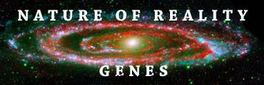 Nature of Reality Genes - Andromeda Galaxy