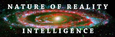 Nature of Reality Intelligence - Andromeda Galaxy