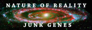 Nature of Reality Junk Genes - Andromeda Galaxy