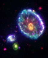A Stellar Ripple in the Cartwheel galaxy
