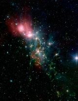 Stars being born in Reflection nebula called NGC 1333 