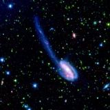 The Tadpole galaxy 