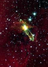 Outflows from Newborn Star in Herbig-Haro 46/47