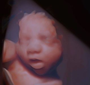 Silhouette Flashlight!