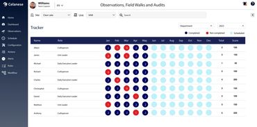 Observations, Field Walks and Audits
